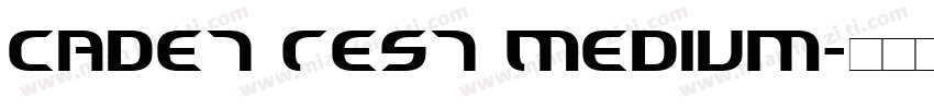 Cadet Test Medium字体转换